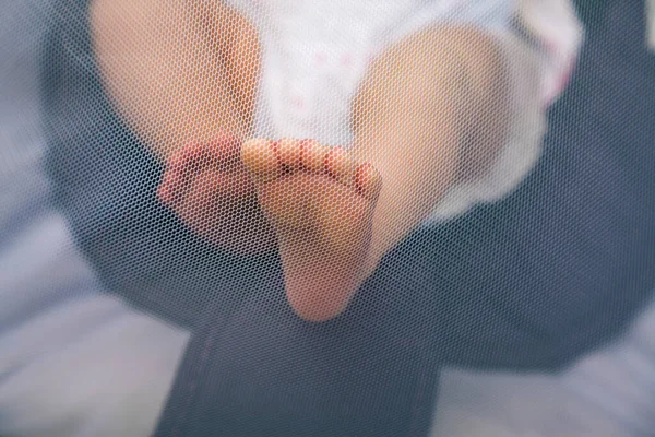 Newborn Feet Pushing Mosquito Net — Stock Photo, Image