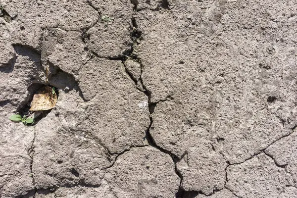 Concrete Cracks Close — Stock Photo, Image