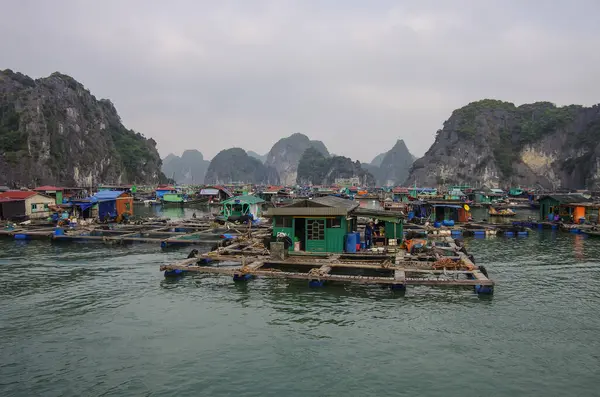 Long Bay Vietnam Januar 2015 Blick Auf Die Bucht Von — Stockfoto
