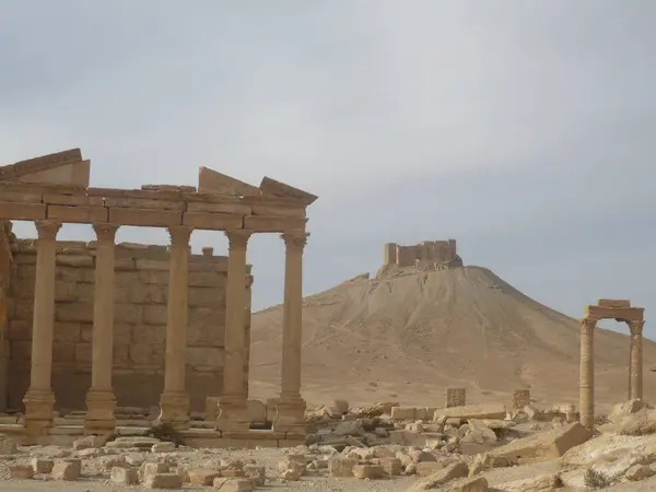 Beautiful View Palmyra Castle — Stock Photo, Image