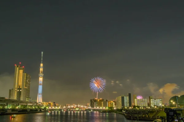 Tokyo Himmel Träd Och Fyrverkerier — Stockfoto