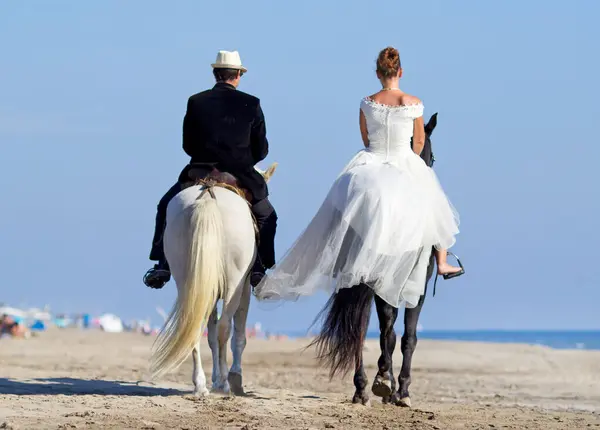 Young Wedding Couple Beach Riding Horses — Stock Photo, Image