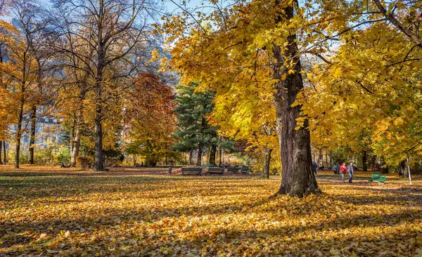 Złote Kolory Jesieni — Zdjęcie stockowe