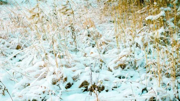 Maravillas Invernales Blancas Hermoso Fondo Natural — Foto de Stock