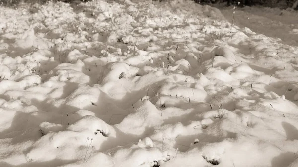 겨울의 신비의 아름다운 자연적 — 스톡 사진