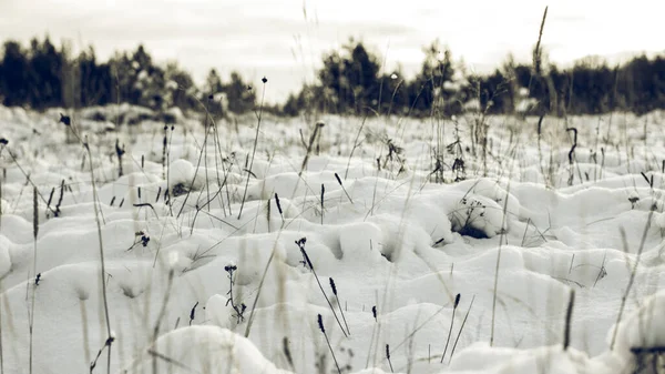 Weißes Winterliches Wunderland Schöner Natürlicher Hintergrund — Stockfoto