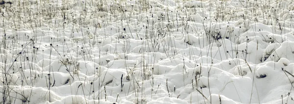 Beyaz Kış Harikalar Diyarı Güzel Doğal Arkaplan — Stok fotoğraf