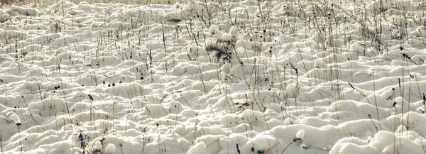 겨울의 신비의 아름다운 자연적 — 스톡 사진
