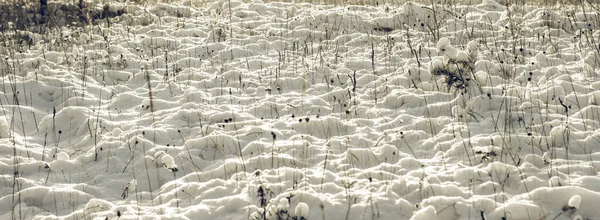 白色的冬季仙境 美丽的自然背景 — 图库照片