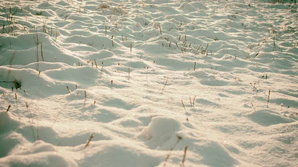 Weißes Winterliches Wunderland Schöner Natürlicher Hintergrund — Stockfoto