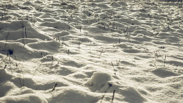 Белые Зимние Страны Чудес Красивый Природный Фон — стоковое фото