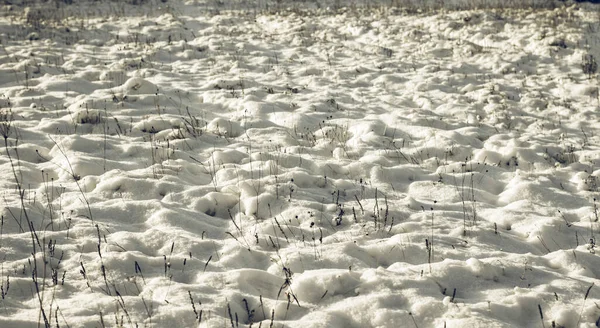 Valkoinen Talvinen Ihmemaa Kaunis Luonnollinen Tausta — kuvapankkivalokuva