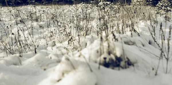 Maravillas Invernales Blancas Hermoso Fondo Natural — Foto de Stock