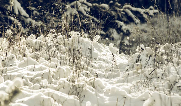 Maravillas Invernales Blancas Hermoso Fondo Natural —  Fotos de Stock