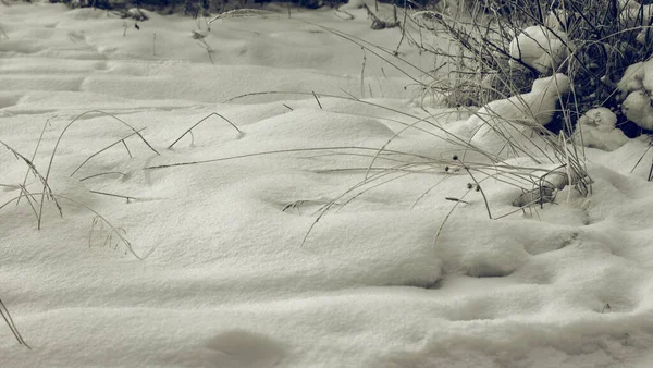 Valkoinen Talvinen Ihmemaa Kaunis Luonnollinen Tausta — kuvapankkivalokuva