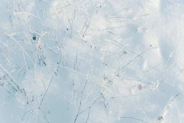 Bílá Zimní Říše Divů Krásné Přírodní Pozadí — Stock fotografie
