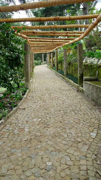 Detalle Sendero Forestal Sintra Portugal — Foto de Stock