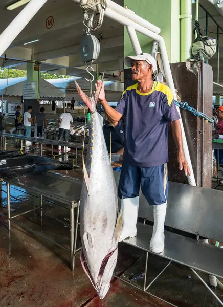 Yellowfin Tuna Being Weighed — Stock Photo, Image