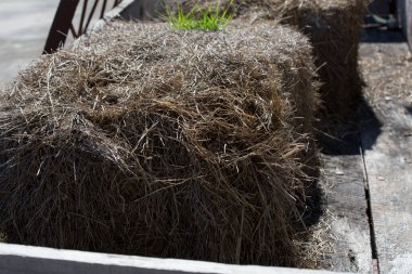 saman ve rulo avluda