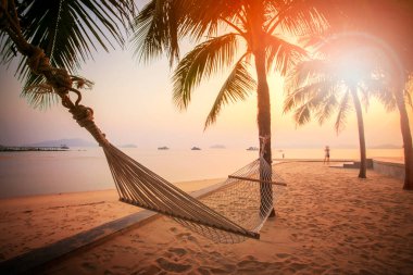 Hindistan cevizi ağacında plaj beşiği güzel güneş batan gökyüzüne karşı yaz