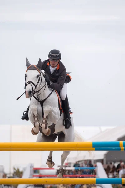 Vilamoura Portugal April 2016 Horse Obstacle Jumping Competition — Φωτογραφία Αρχείου