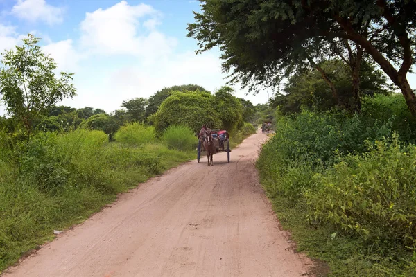 Driving Horse Cart Bagan Myanmar — Stock Photo, Image