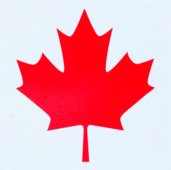 Canadian Flag White Background — Stock Photo, Image