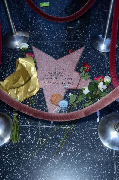 Carrie Fisher Fan Made Star Hollywood Walk Fame Located Hollywood — Stok fotoğraf