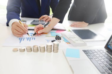 Ekonomi ve Mali Planlama İşletmeleri Danışmanı