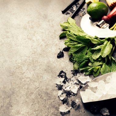 Mojito kokteyl malzemeleri, yakın çekim. 