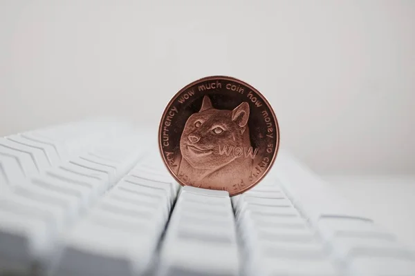 Moneda Latón Dogecoin Primer Plano — Foto de Stock