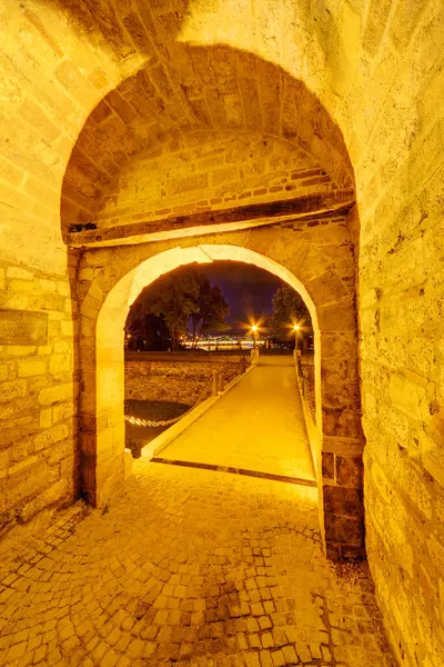 Vue Rapprochée Porte Médiévale — Photo