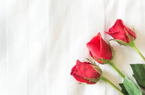 Beyaz Yatakta Kırmızı Güller Aşk Romantik Bir His — Stok fotoğraf