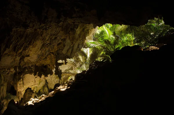 Πράσινο Σπήλαιο Στην Ταϊλάνδη — Φωτογραφία Αρχείου