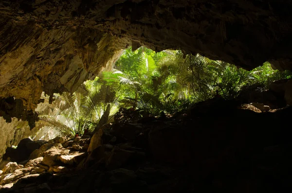 Zöld Barlang Thaiföldön — Stock Fotó