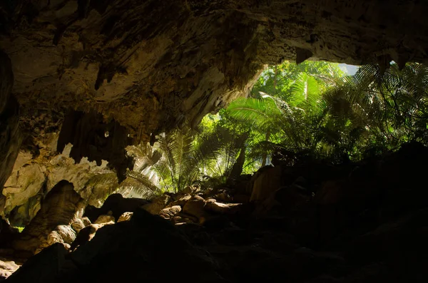 Tayland Daki Yeşil Mağara — Stok fotoğraf