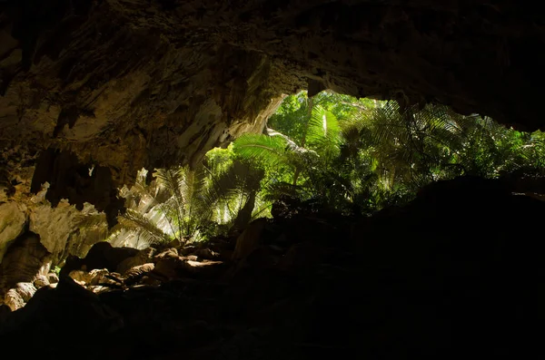 Grön Grotta Thailand — Stockfoto