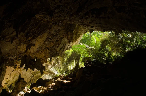 Grüne Höhle Thailand — Stockfoto