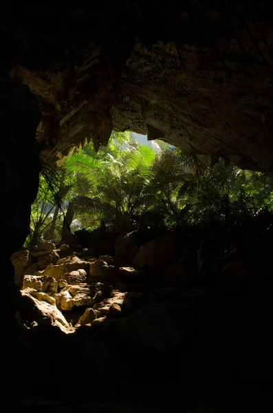 タイの緑の洞窟 — ストック写真