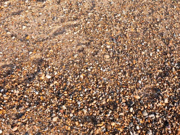 海滩地板背景纹理石头卵石各种潮湿的阳光 — 图库照片