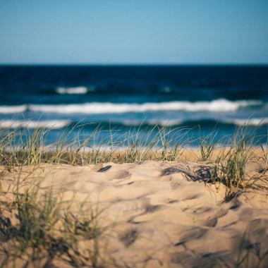 Noosa, Sunshine Coast, güneş plaj