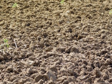 Kurumuş katı, doku arkaplanı