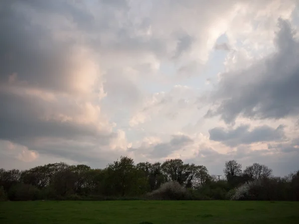 Zon Onder Veld Met Bomen Dramatische Wolken Natuur Achtergrond — Stockfoto