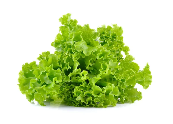 Frisk Grøn Salat Close Visning - Stock-foto
