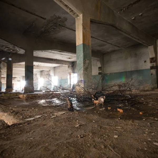 放棄された古い工場の建物 — ストック写真