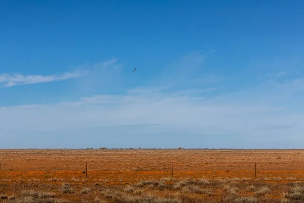 オーストラリアの砂漠のアウトバック 昼間のビュー — ストック写真