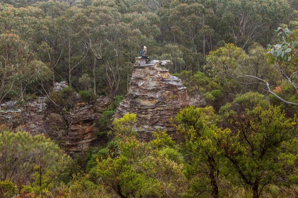 Avventurosa Escursionista Femminile Salito Una Torre Rocciosa Nel Bush Montagna — Foto Stock