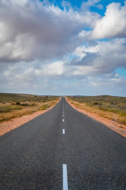Günbatımında Exmouth 'a yakın Batı Avustralya' da boş yol boyunca termit monte edilir.