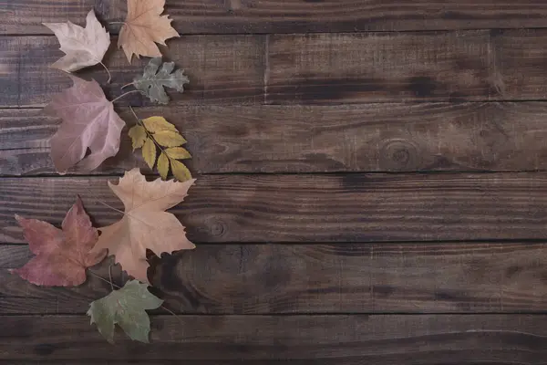 Осенние Красочные Листья Деревянном Фоне — стоковое фото