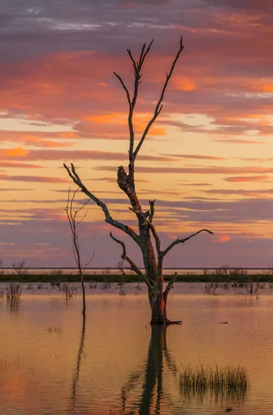Colours Outback Sunset Desert Oasis — Stock Photo, Image